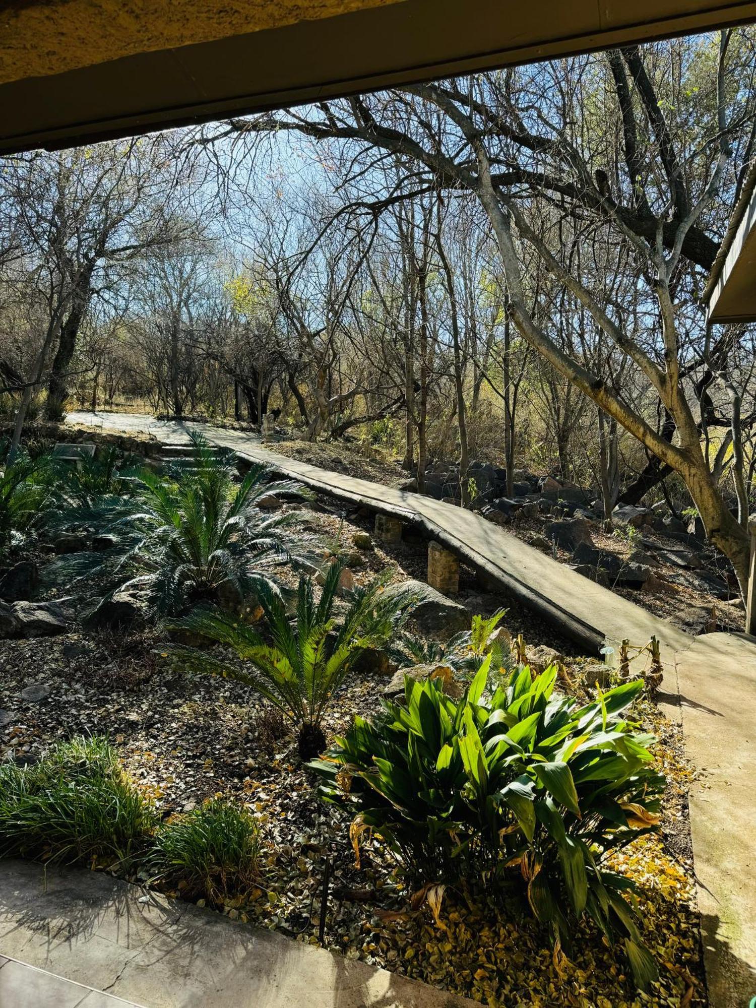 Megumi - Vaal Riverside Retreat - Loadshedding Friendly Parys Eksteriør billede
